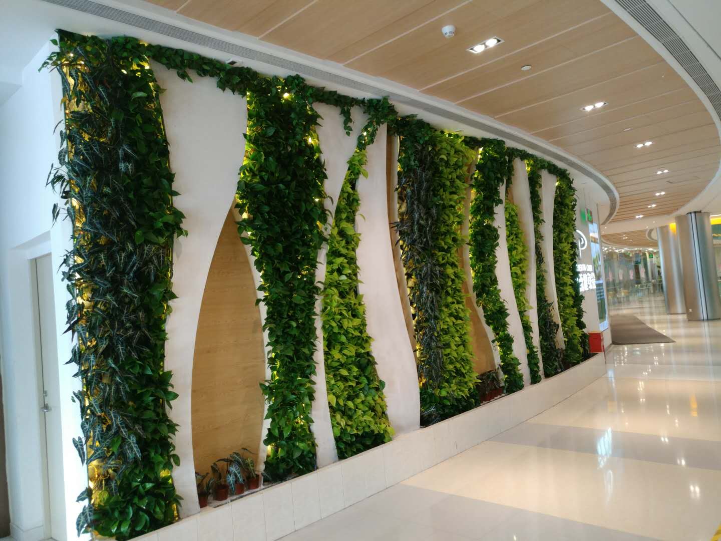 苹果(AAPL.US)Q3营收增速创三年来新高，中国市场回暖助力销售